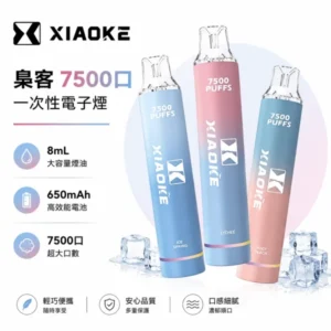 XIAOKE 梟客 7500口一次性電子煙 | 8ml油倉 650mAh電池 | Type-C快充 氣動感應 20種口味